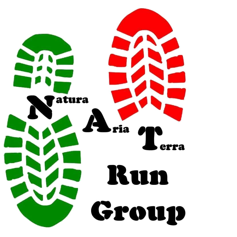 Logo NAT Run Group
